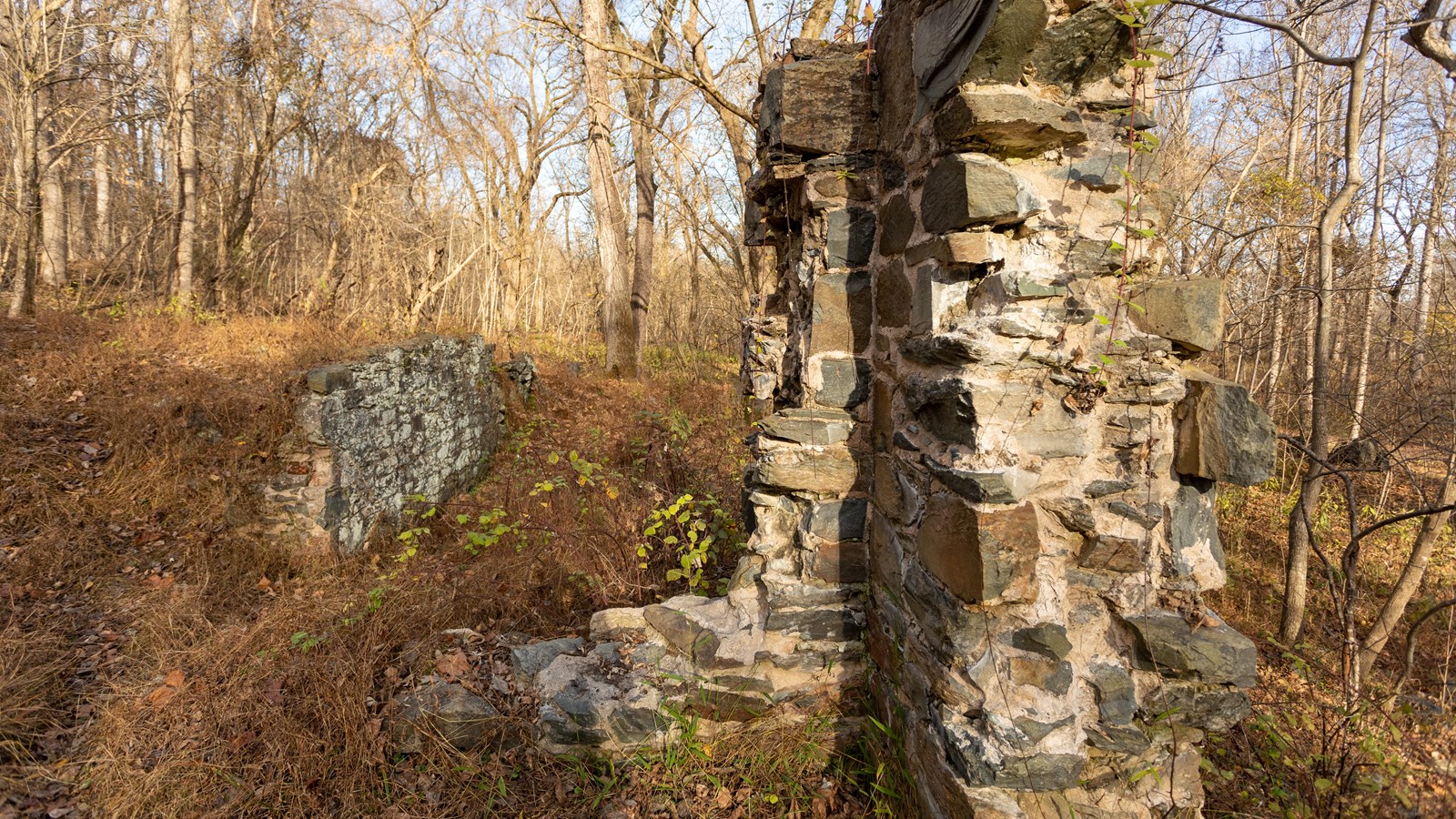 Two structures constructed of stone and cement are positioned in a wood area.