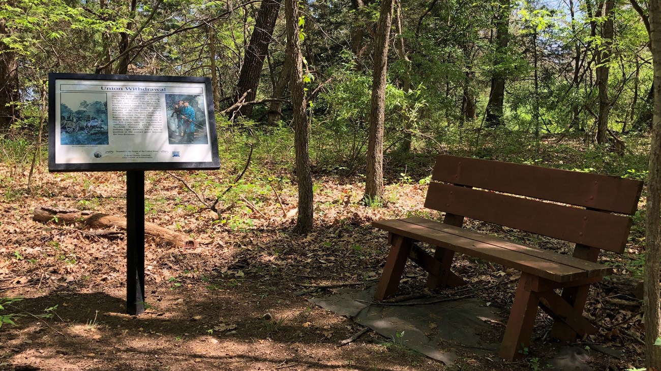 Sun shines through trees onto a trail exhibit sign and a bench.