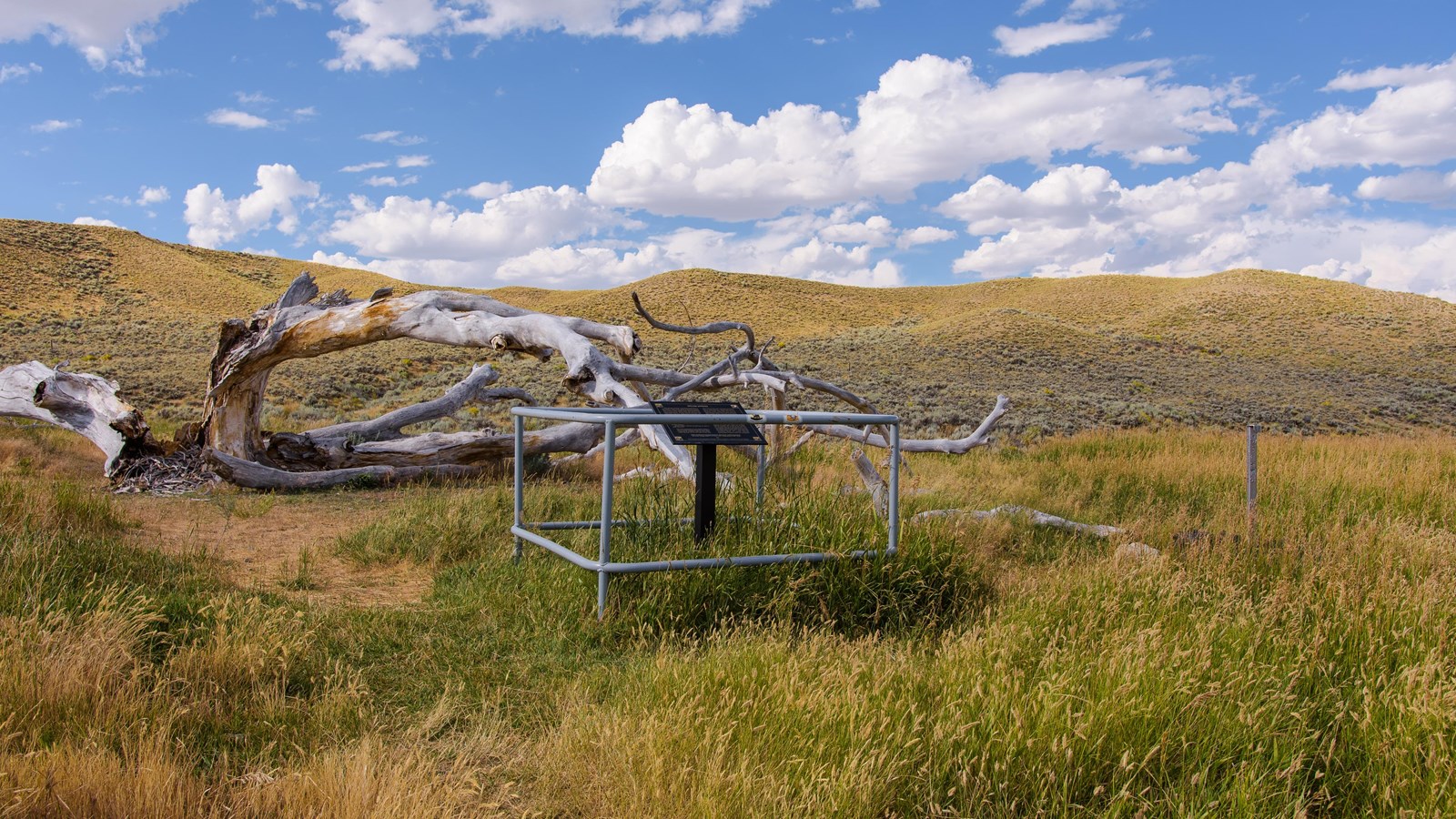 Historical sign in golden grass, fallen cottonwood, Pony Express marker, sage hills, blue sky.