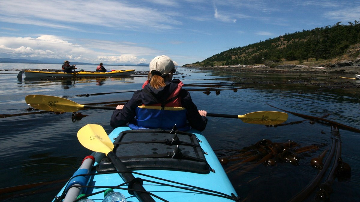 Kayaking in the Salish Sea
