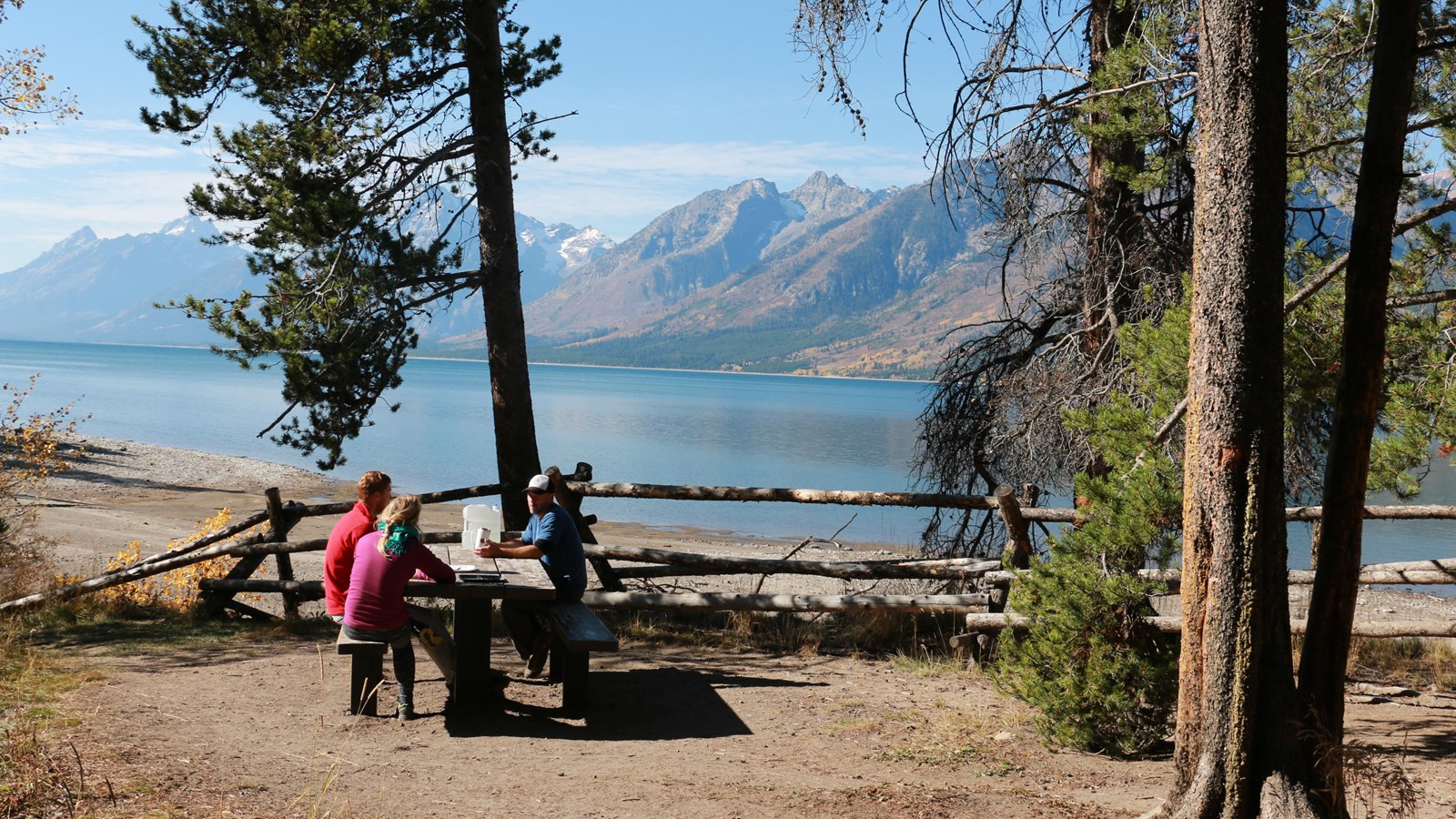 Visitors at picnic area under trees with Jackson Lake and the Teton Range in the distance