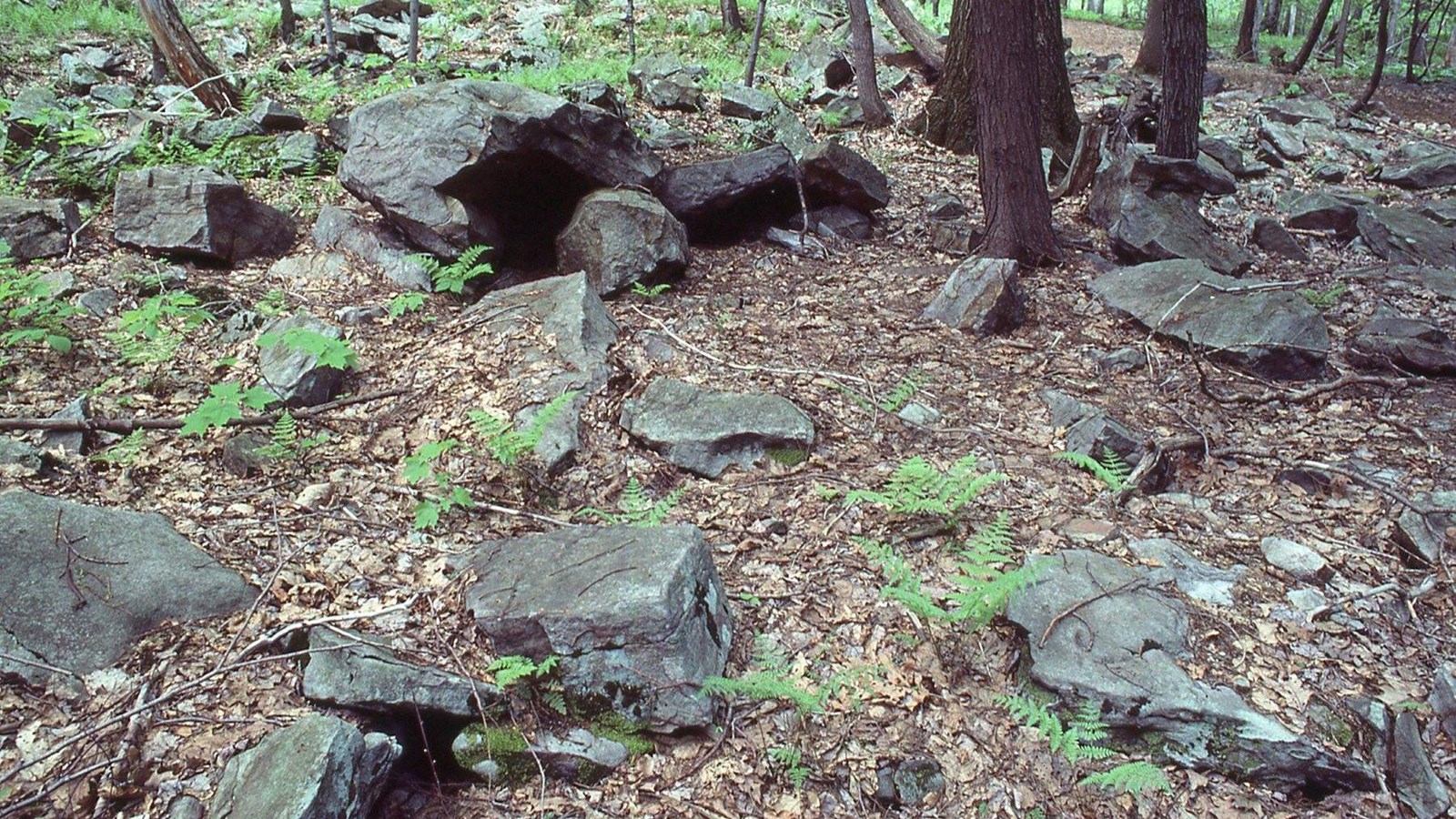 Pieces of sandstone