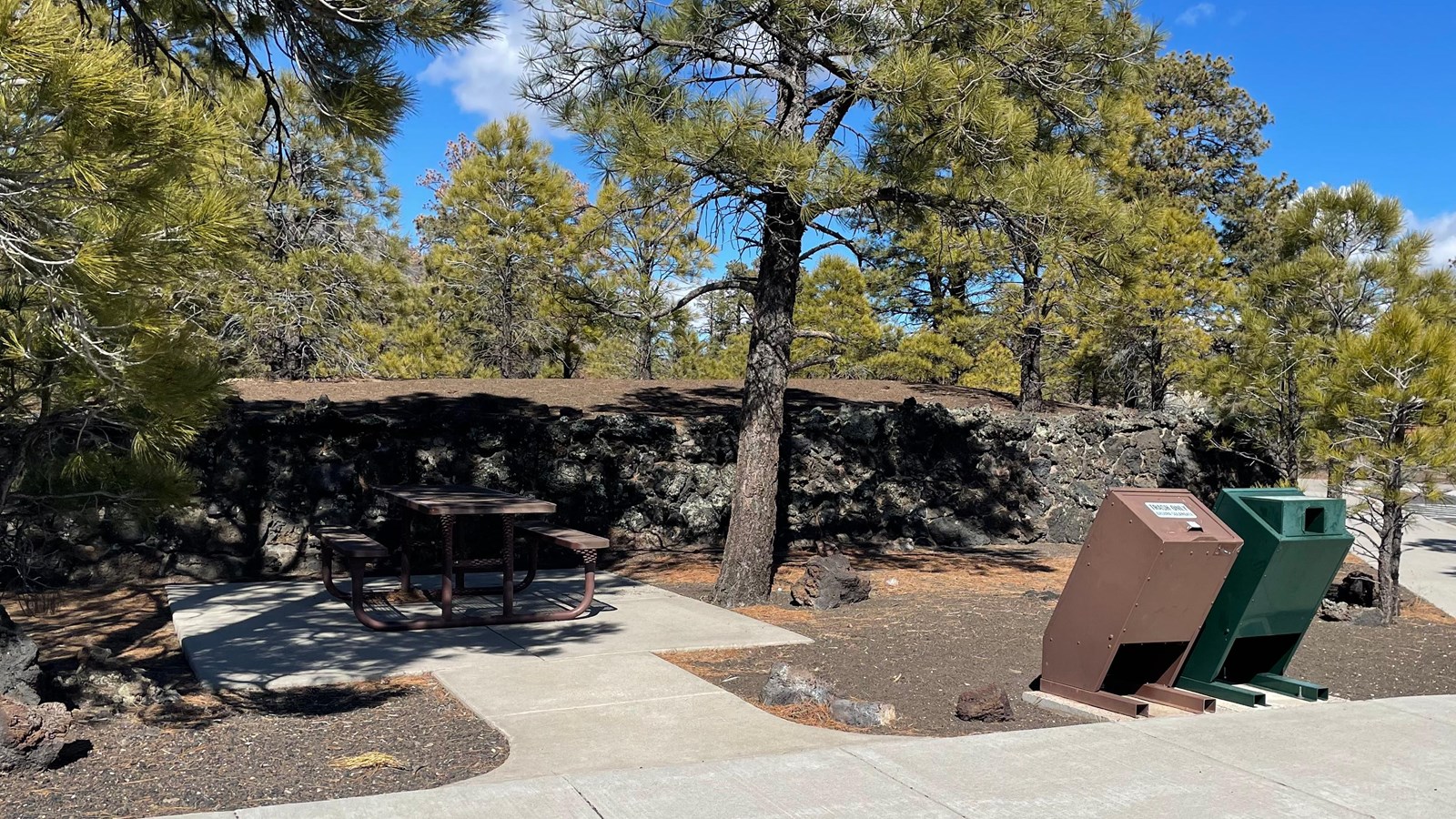 An accessible metal picnic table under the shade of pine trees near trash cans and bathrooms. 