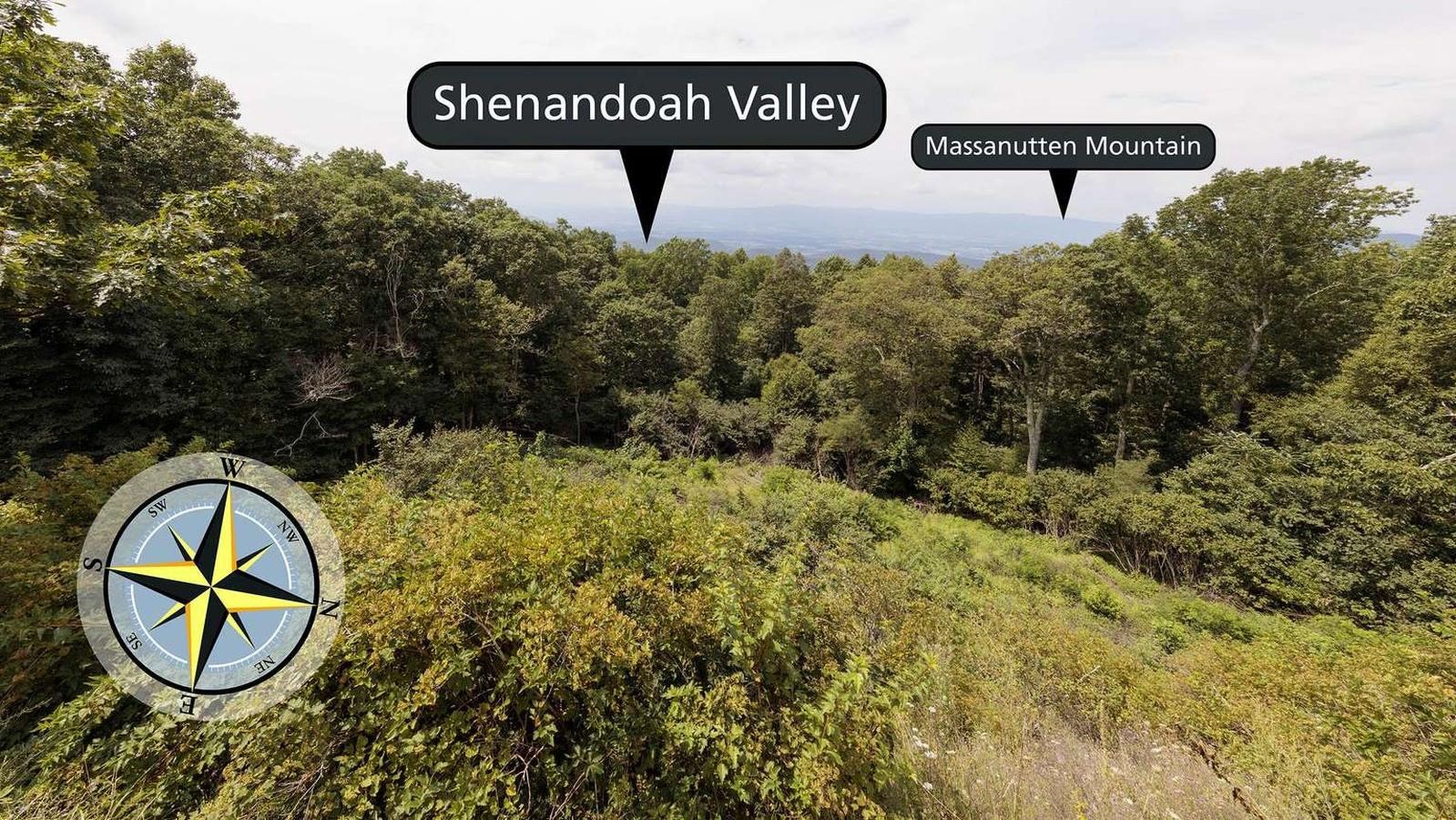 View over vegetation-covered slope with trees and valley in distance.