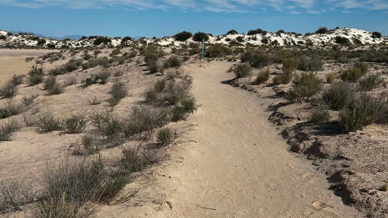 A dirt trail in the desert floor