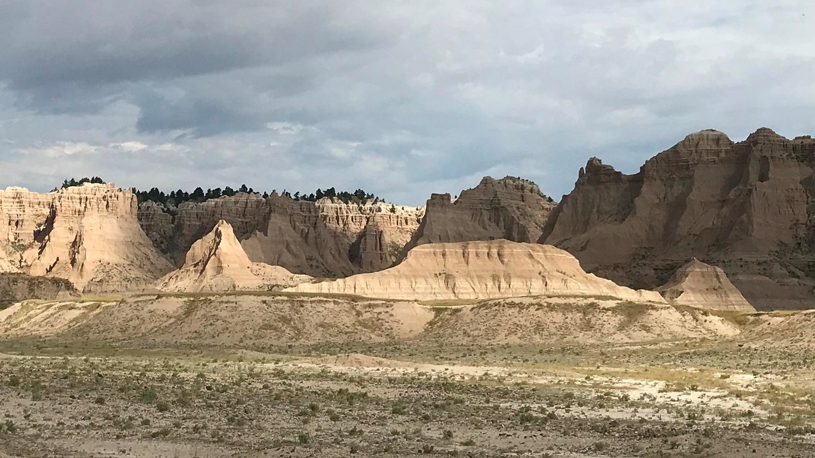 Relatively flat badlands and grasslands extend to a tall butte with pine trees atop under blue sky.