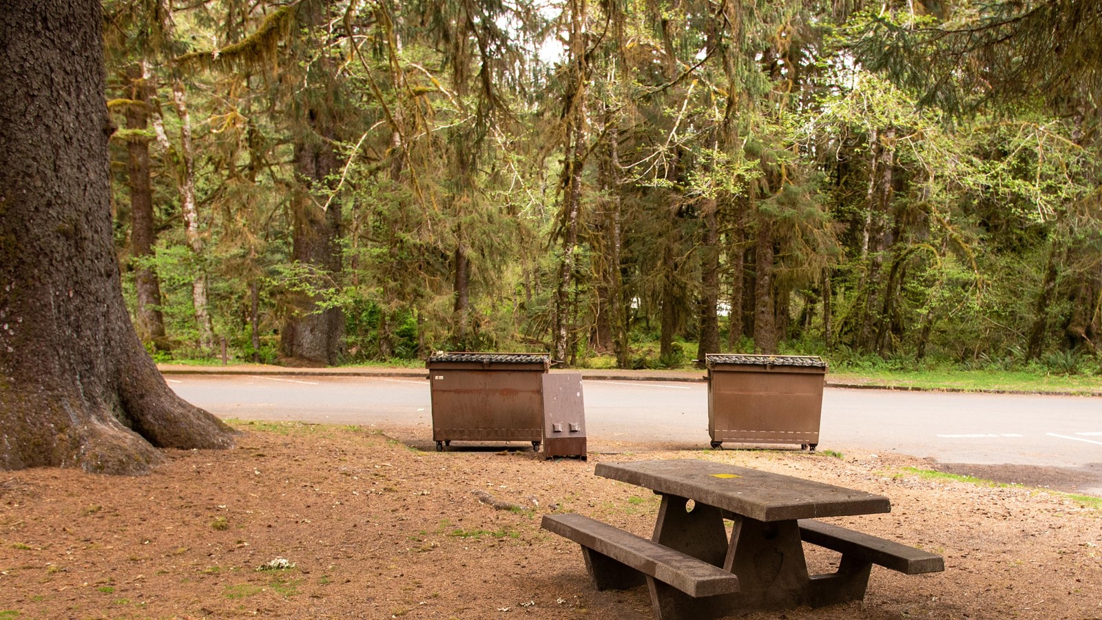 A picnic table near some dumpsters