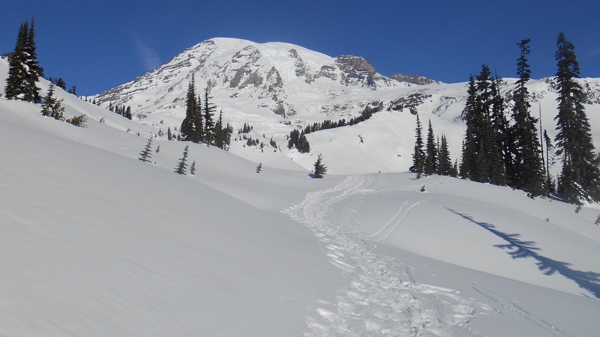 Snowshoe tracks lead across a snowy slope towards a glaciated peak against a blue sky. 