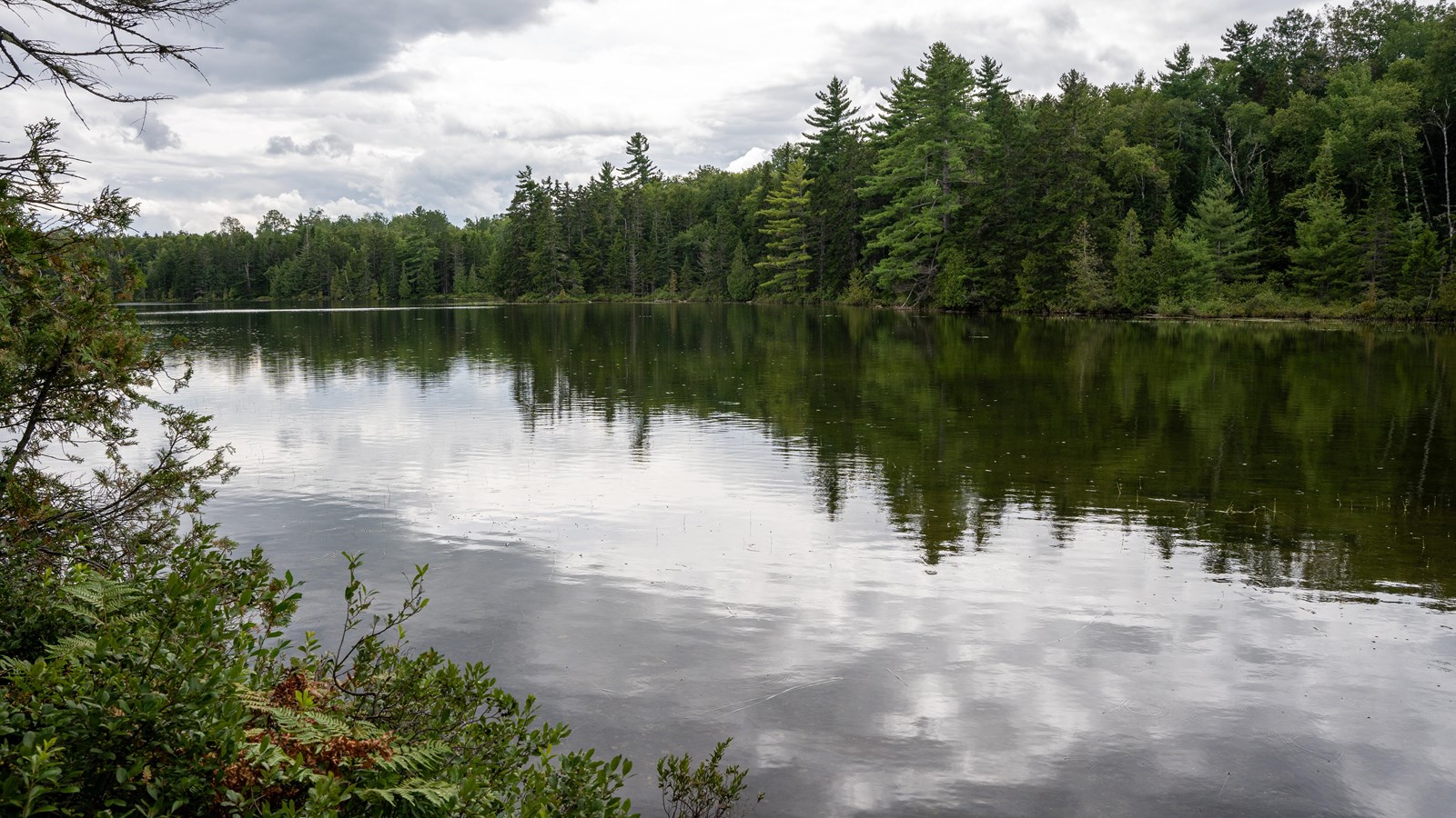 A large still pond reflects surrounding trees and cloudy skies.
