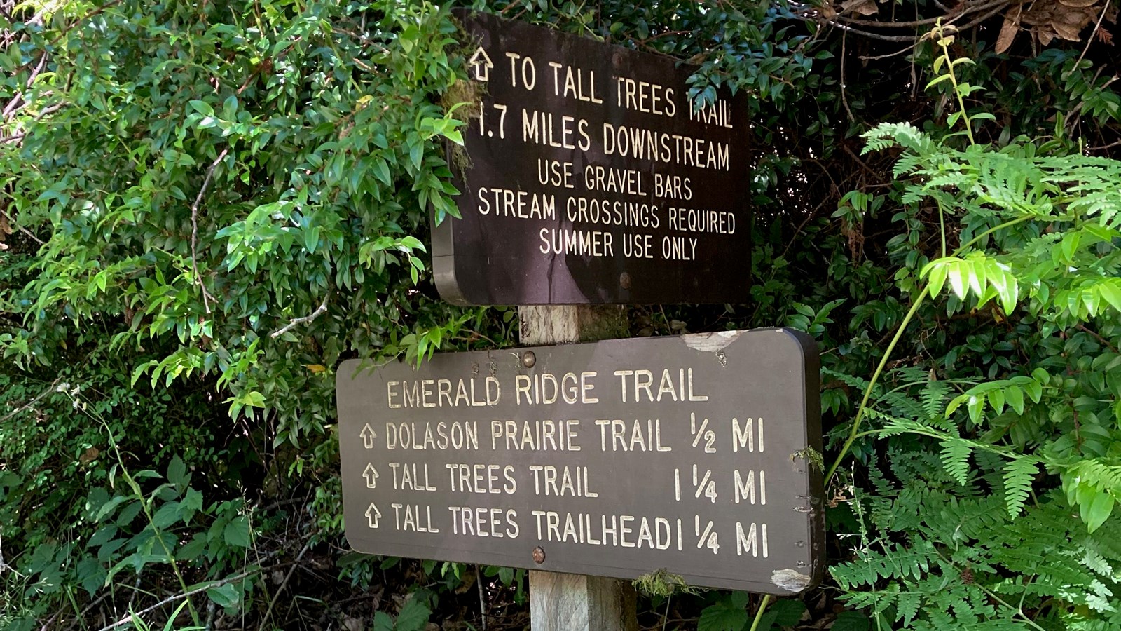 A trail junction marked by wooden signs marking distances to different trail locations.