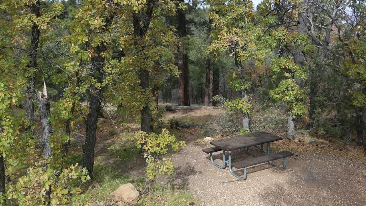 A metal picnic table sits in a small clearing surrounded by gamble oaks