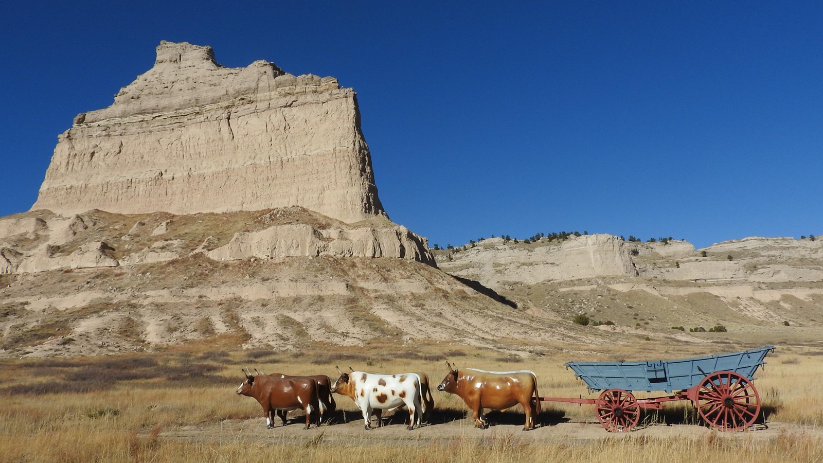 A replica wagon is painted blue and appears to be pulled by six fiberglass oxen. 