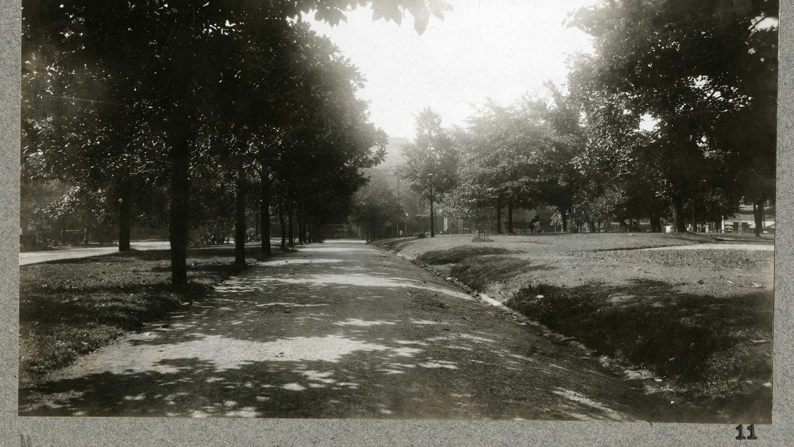 Black and white of dirt path lined by trees on one side and grass on the other.