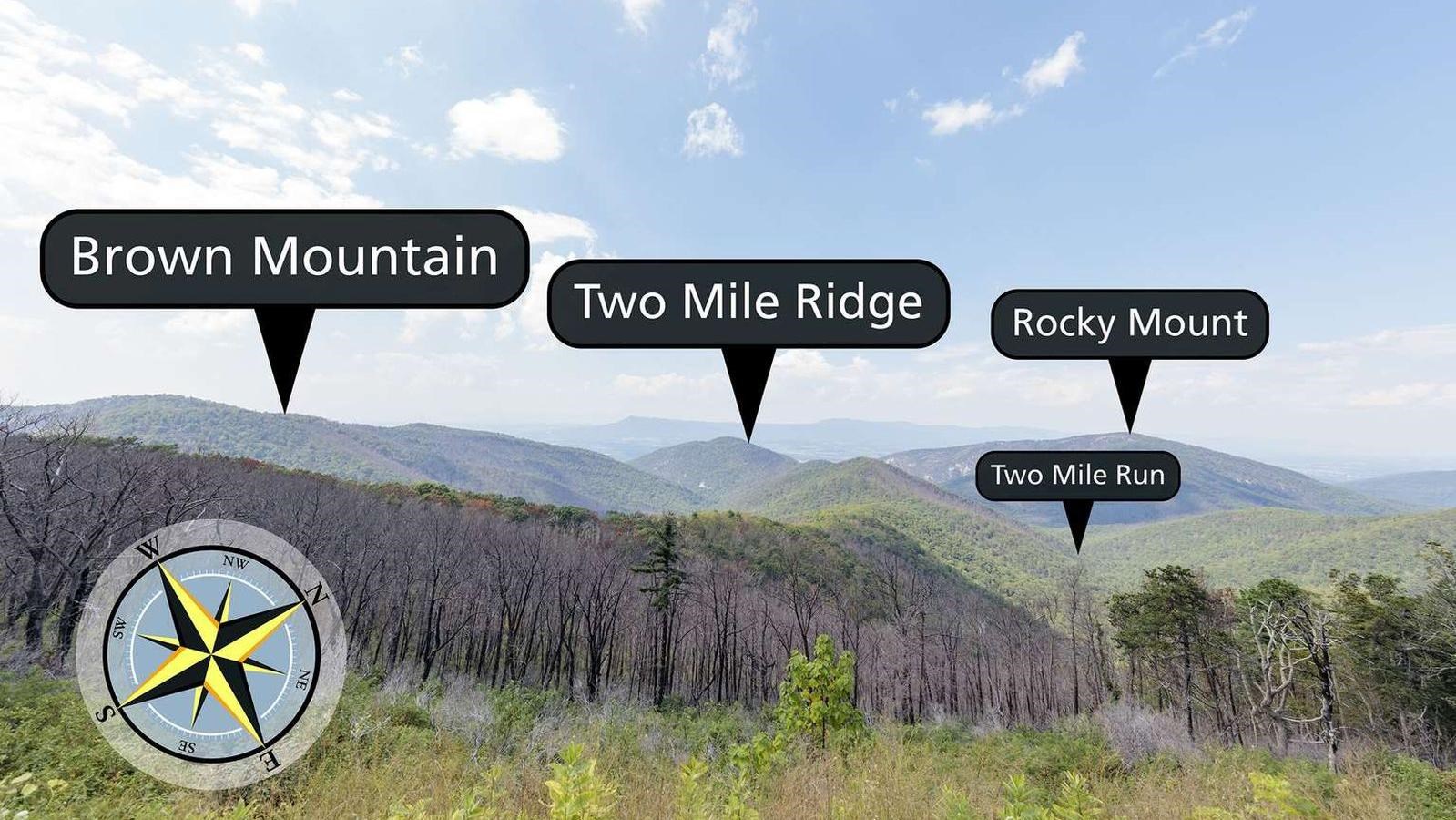 A line of burnt trees with mountains in the distance.