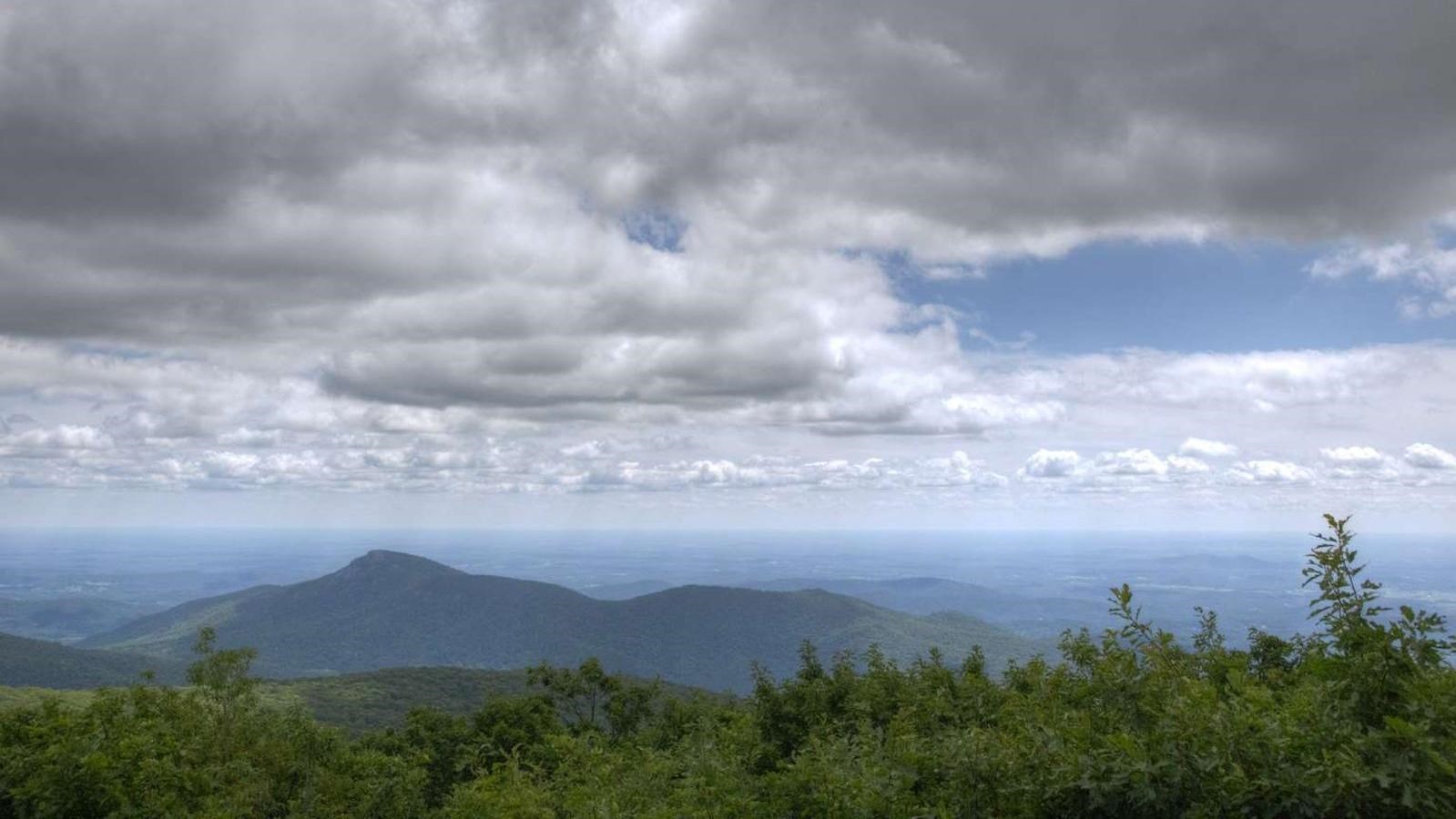 A view over a line of trees with mountains descending into a rural valley below.