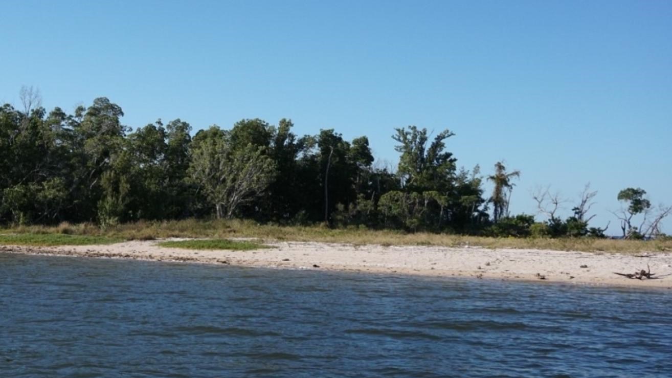 A wide sandy beach with shrubby green vegetation. Calm blue waters wash ashore