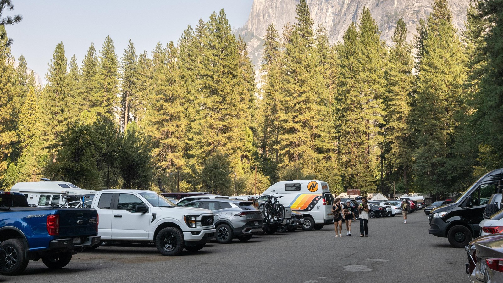 Rows of cars beneath tall trees, blue skies, and Half Dome