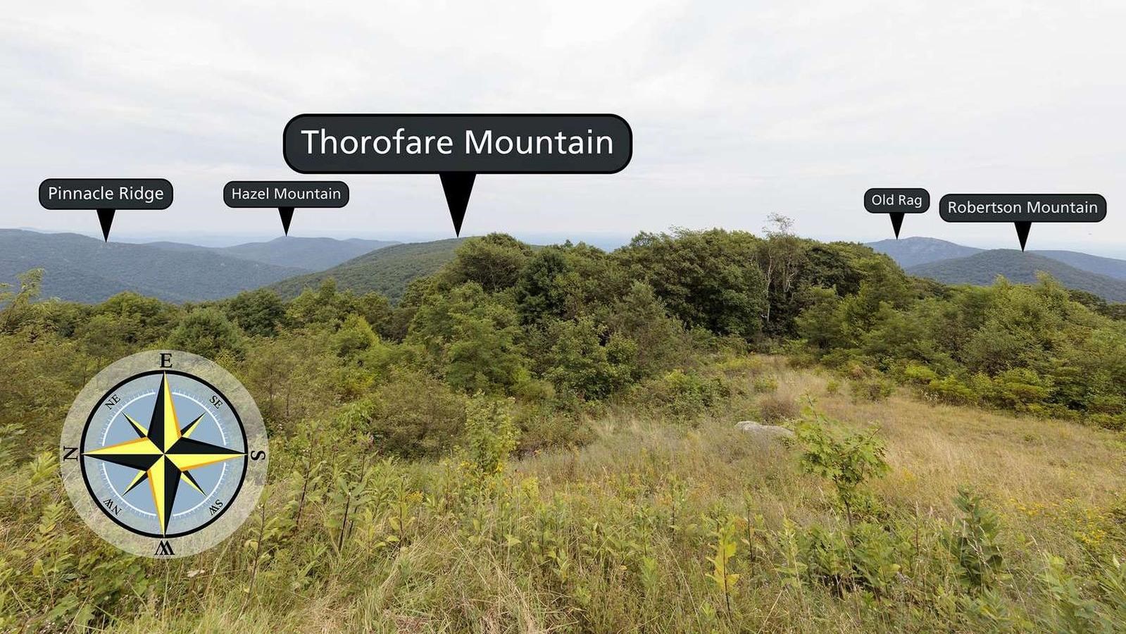 A wide view of a field descending to mountains in the distance.