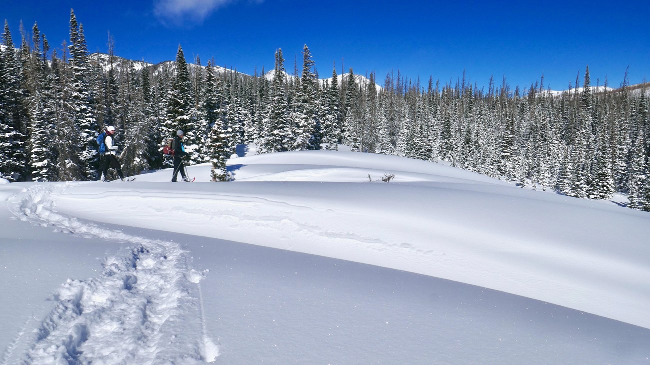 There is deep snow in the high elevation areas of RMNP, great for snowshoeing