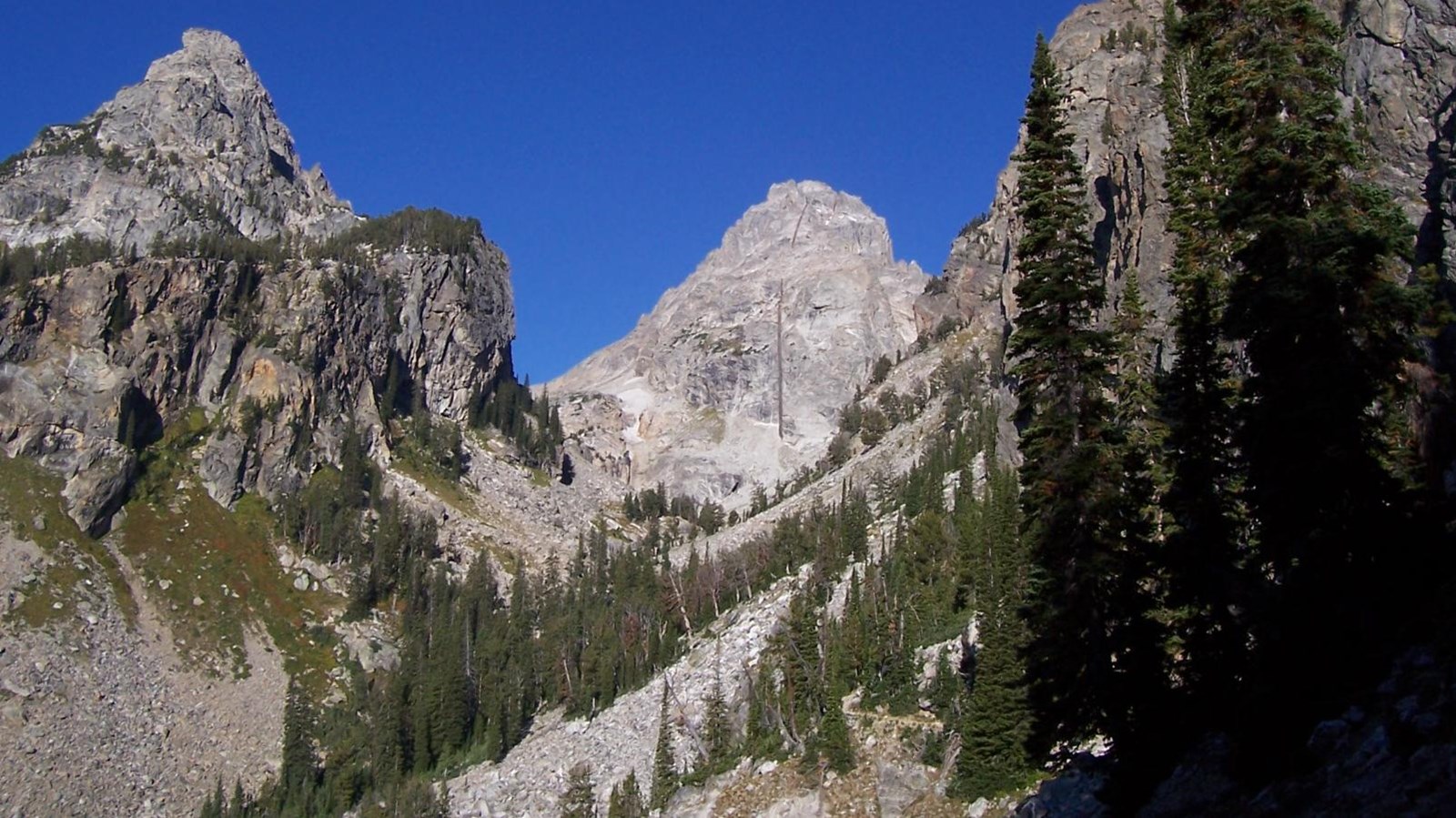 Steep mountains form a U shaped canyon. Conifers grip the mountains side at lower elevations.