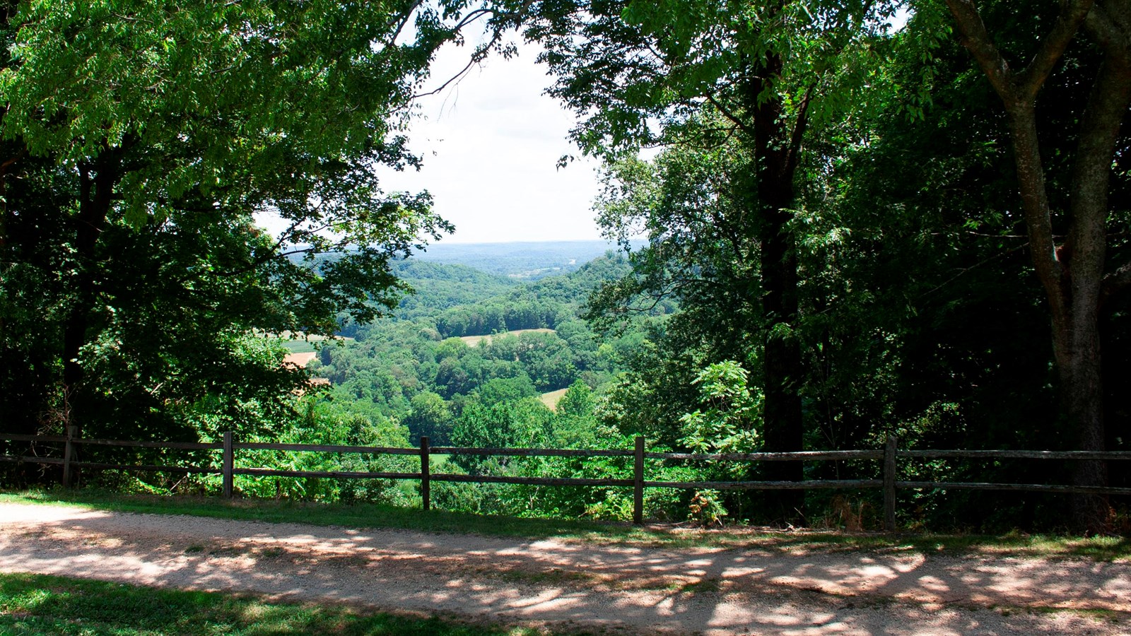 View of countryside framed by dense trees in full summer foliage with plenty of green leaves
