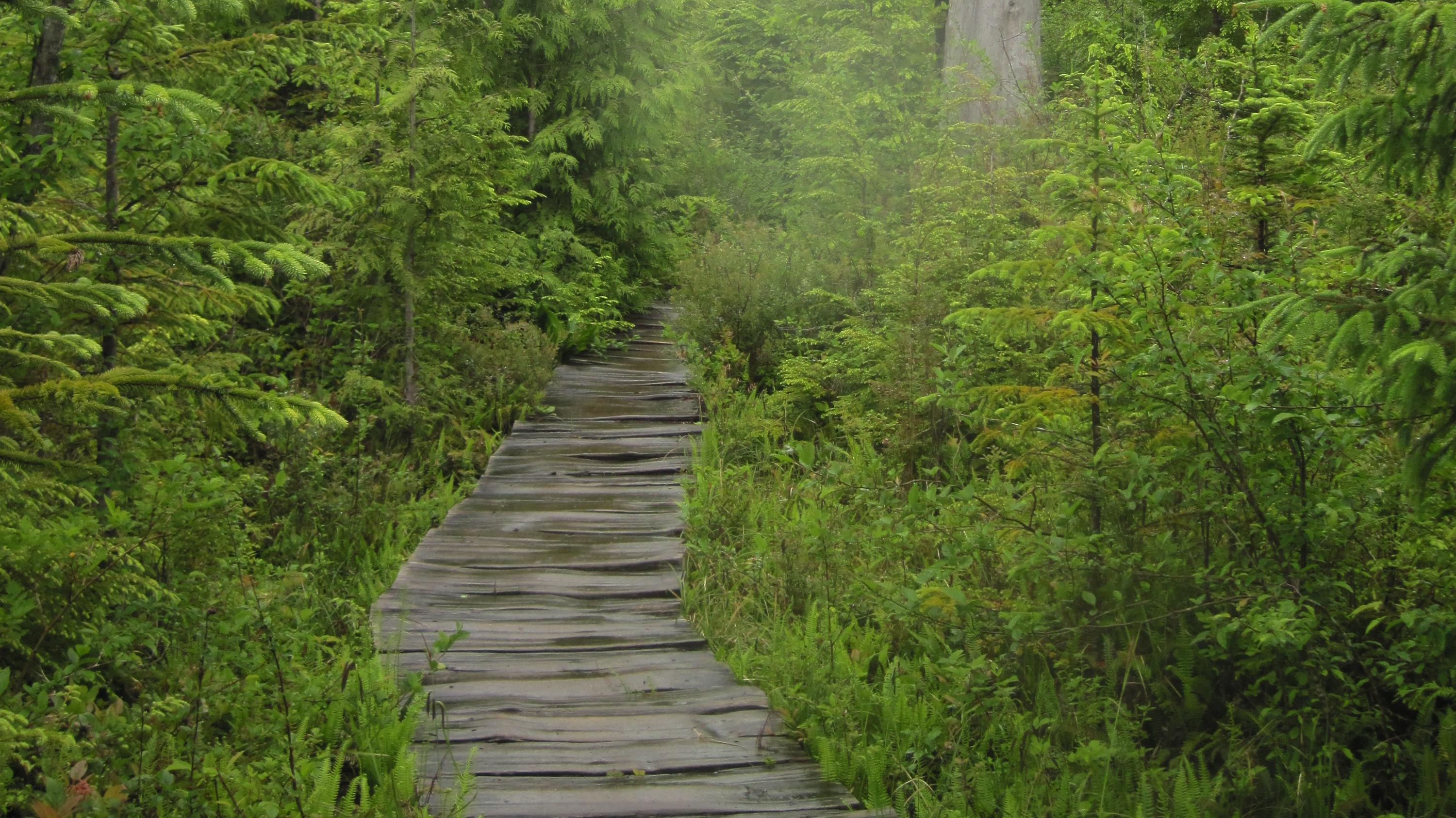 Ozette loop hike discount