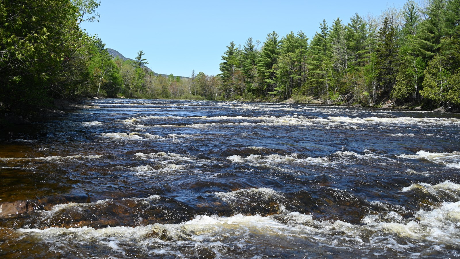 Water flows over rock ledges resembling stairs in the East Branch Penobscot River..