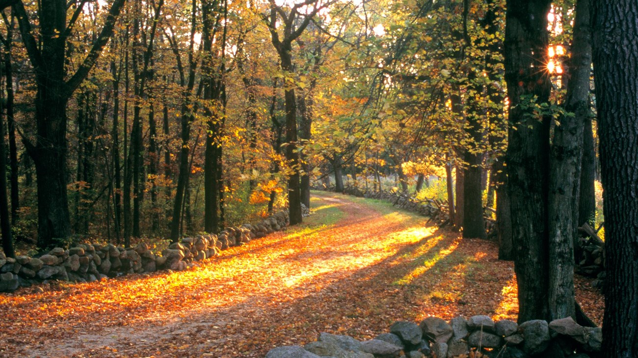 The Battle Road Trail in autumn