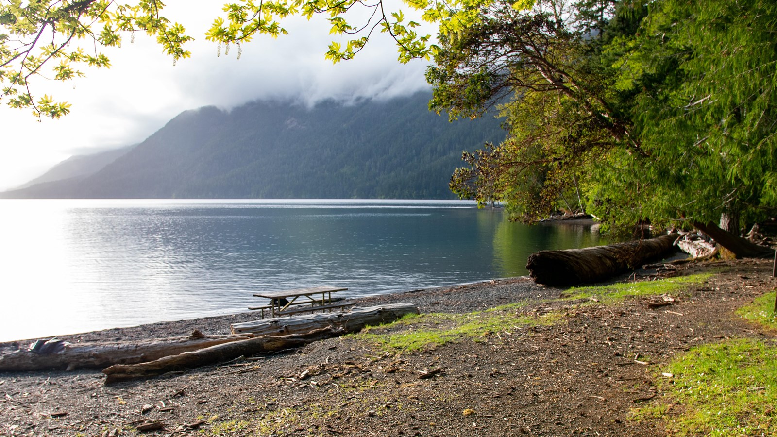 A picnic table on the shore of a lake