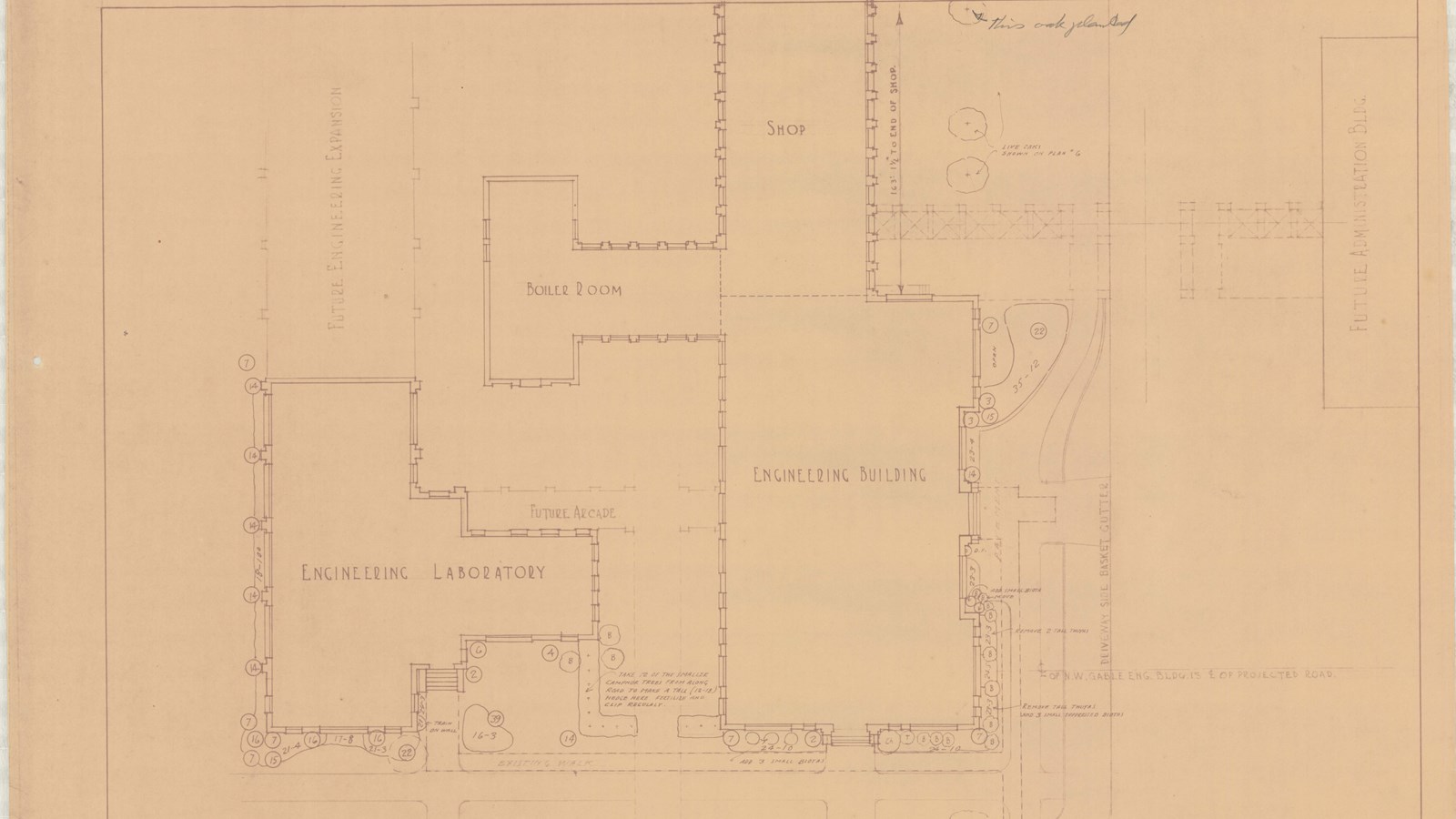 Pencil drawing of several buildings with trees around the edge with grassy space in between