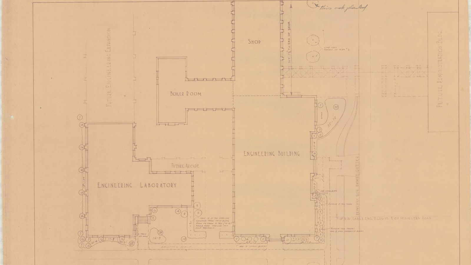 Pencil drawing of several buildings with trees around the edge with grassy space in between 