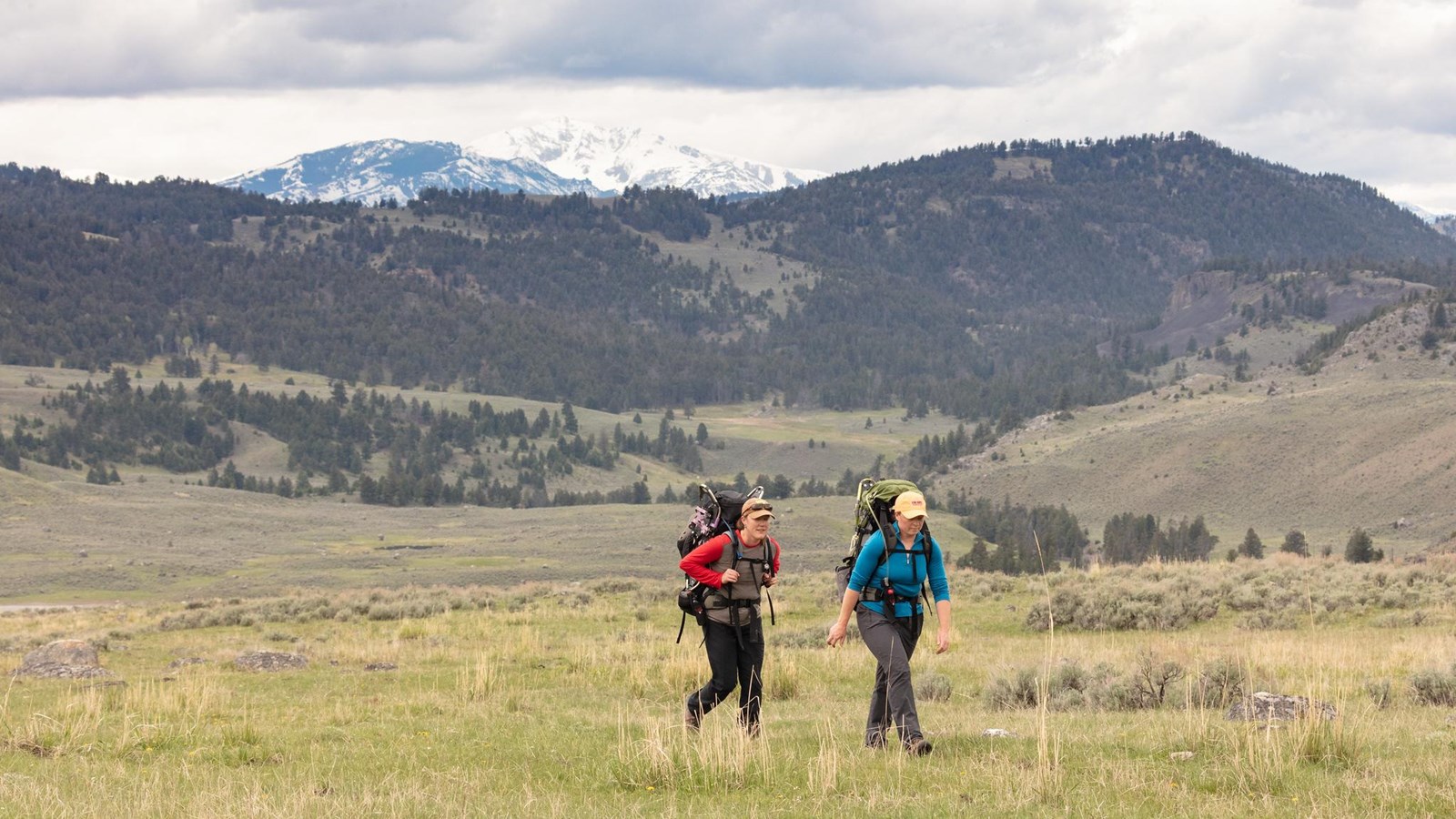 Two backpackers walk through a grassy meadow with mountains in the background.