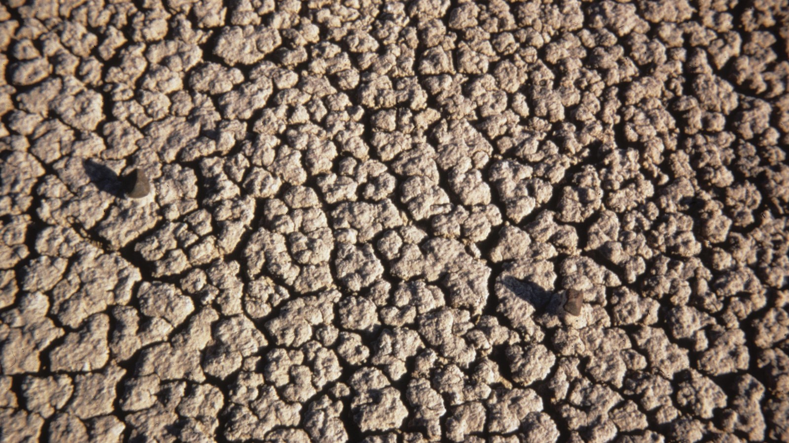 A cracked area of grey clay.