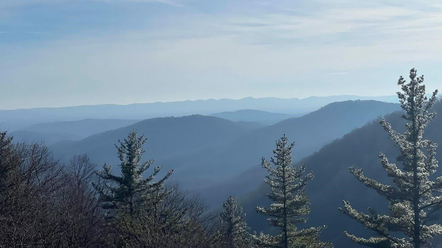 A long range view of rounded mountain tops with the narrow tops of evergreen trees directly here. 