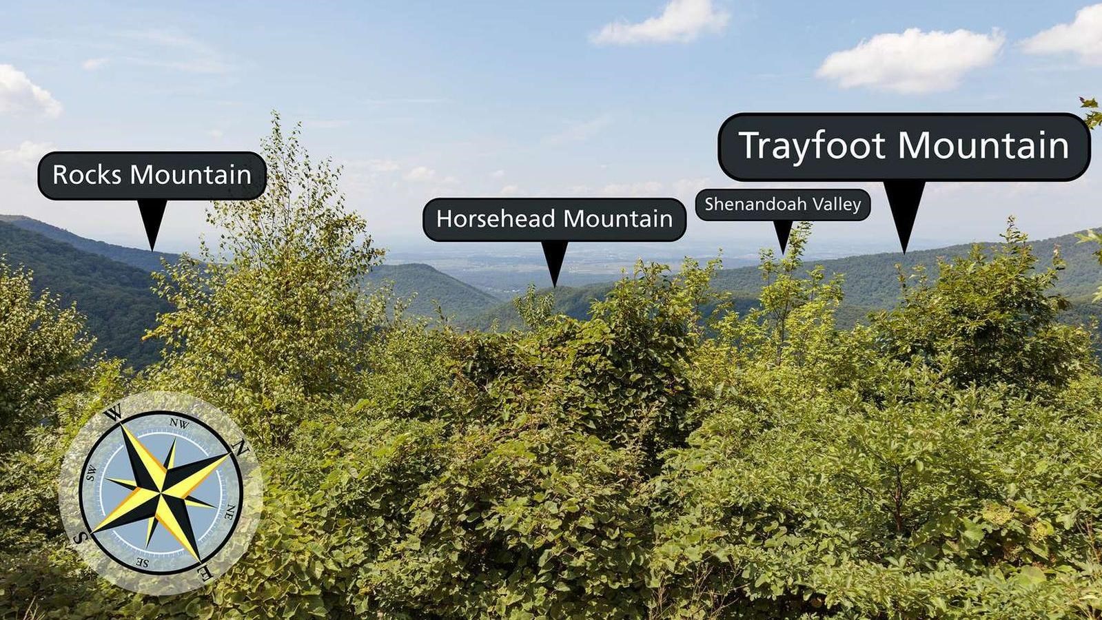 A view over tall bushes to hills and valley beyond.