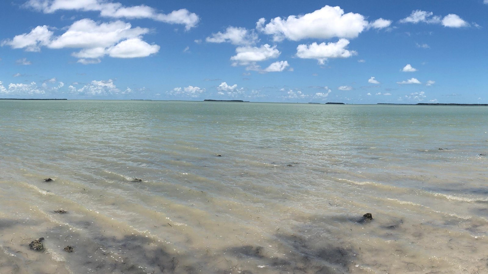 Water color of Florida Bay moves from brown oo green against a bright blue sky with white clouds