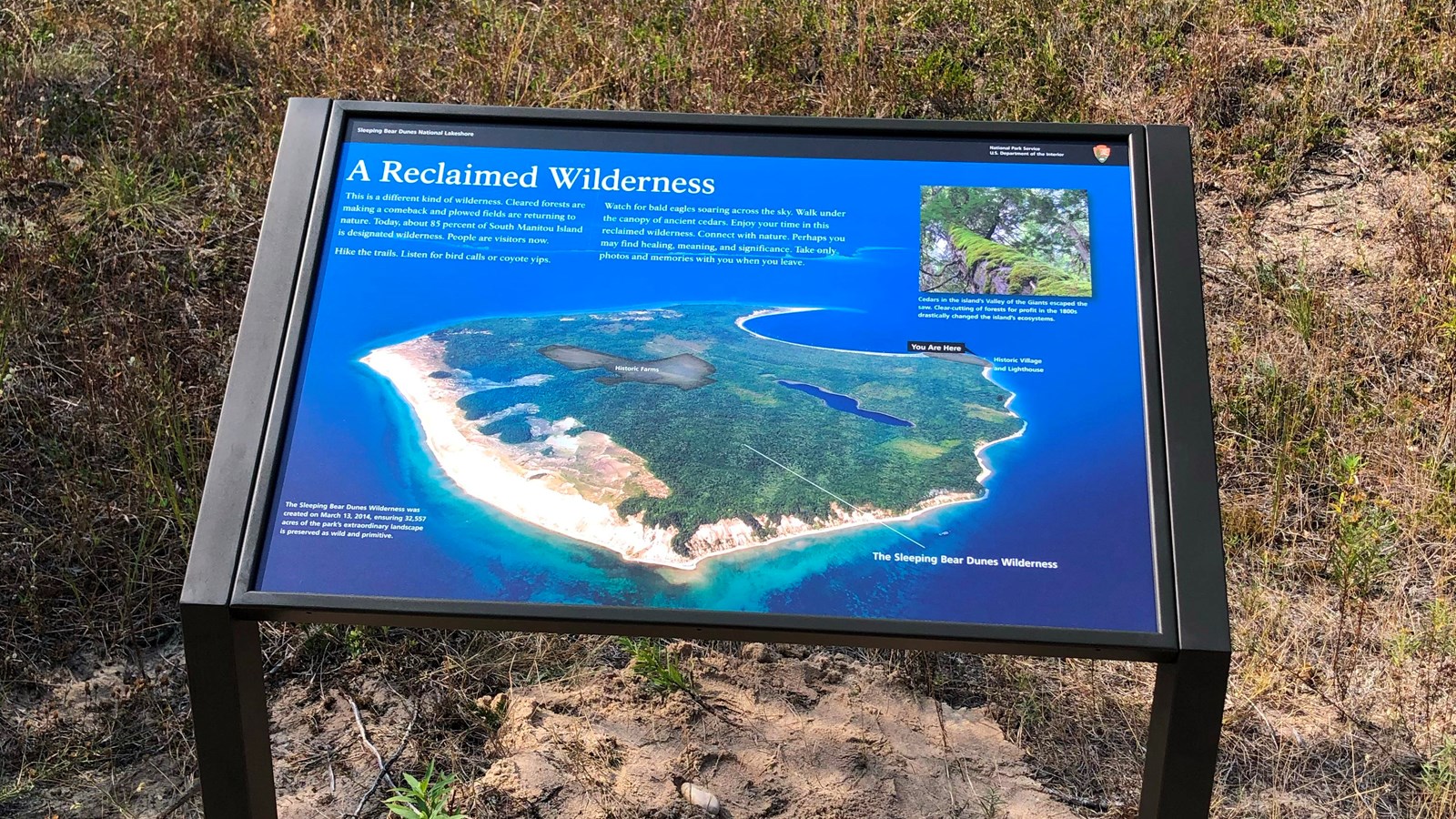 An informational sign standing along a wooden boardwalk with grass and trees in the background