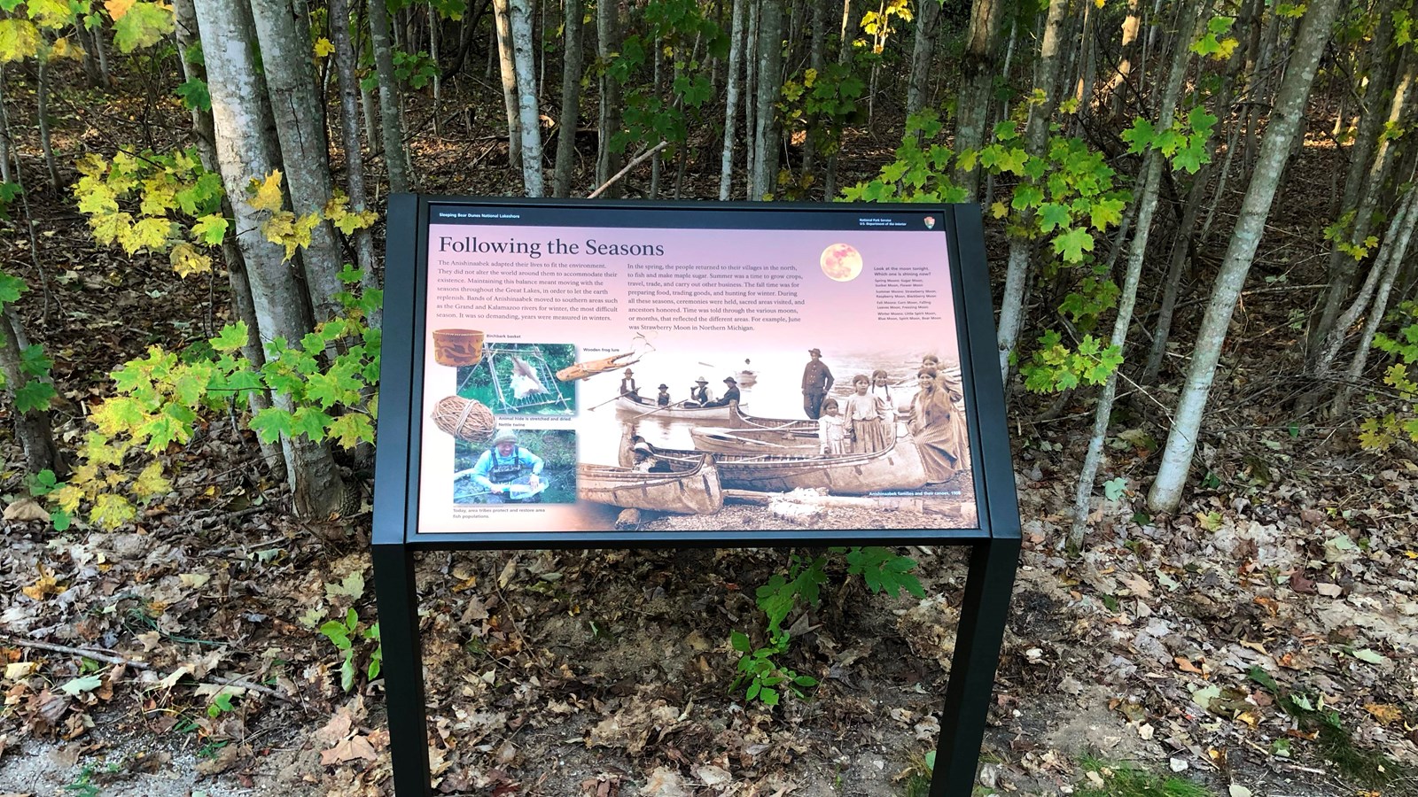 An informational sign about indigenous seasonal land use stands in front of a trees.