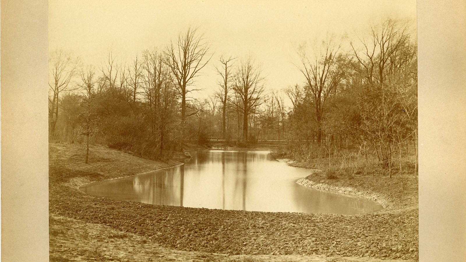 Black and white of large body of water with trees around it