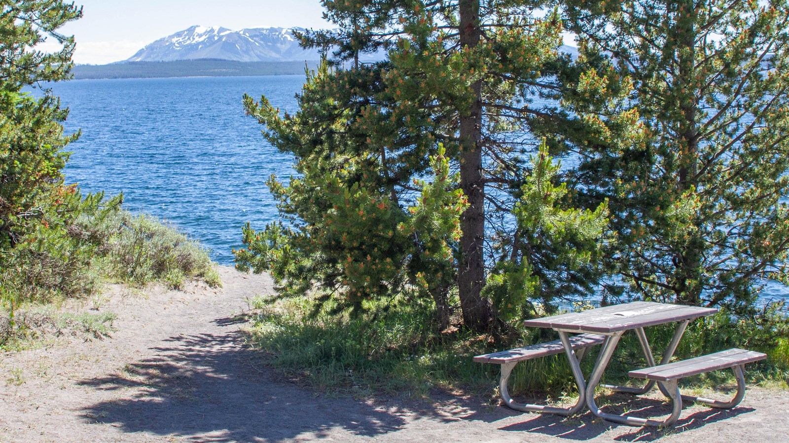 Picnic table near Yellowstone Lake