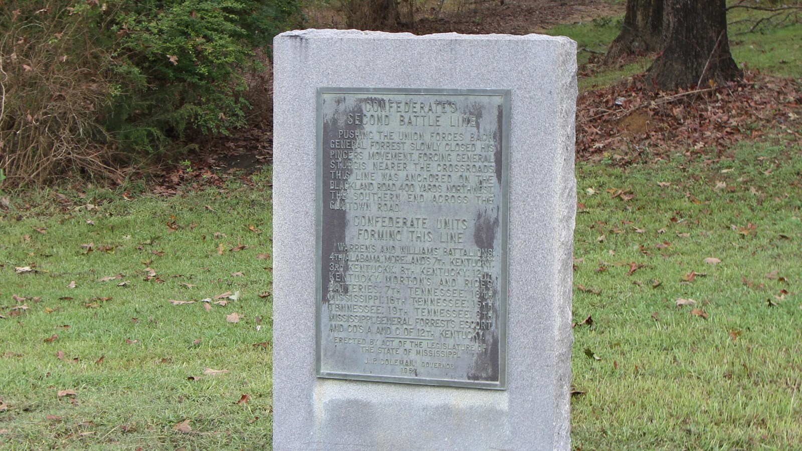 4 foot granite marker with brass information panel on the front. Grass surrounds marker.