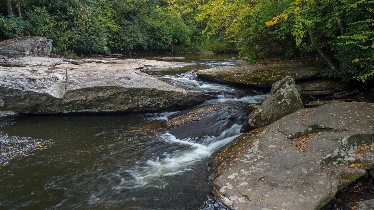 Water in a woodland creek weaves between boulders and down a small cascade