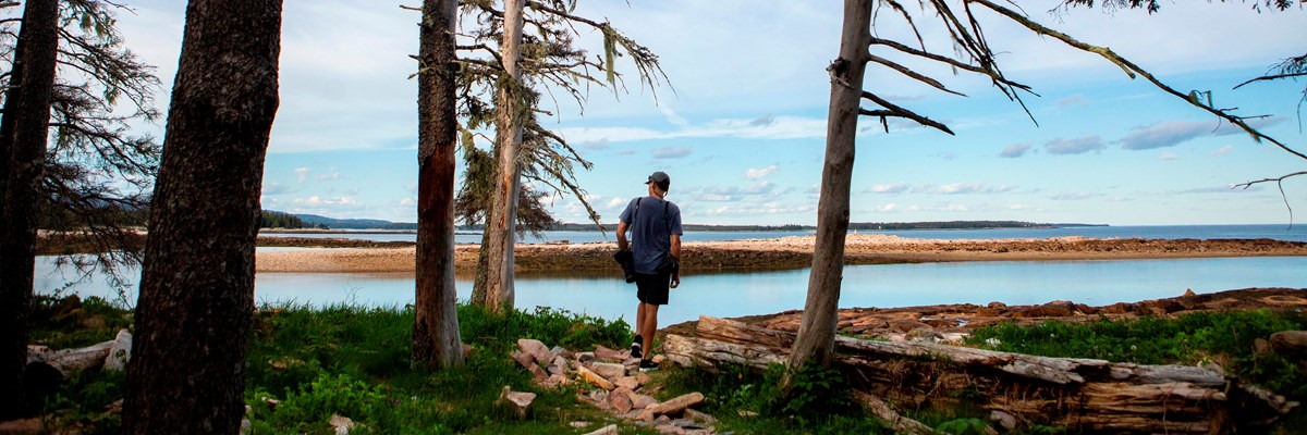 Man stands at next to trees on shoreline
