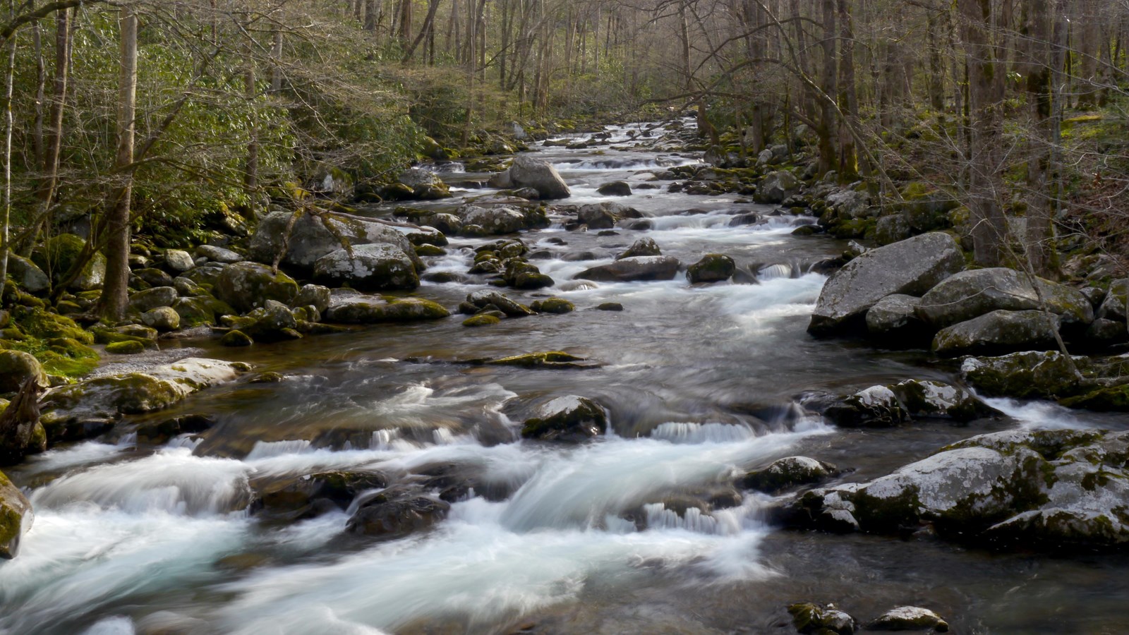 Big Creek Picnic Area (U.S. National Park Service)