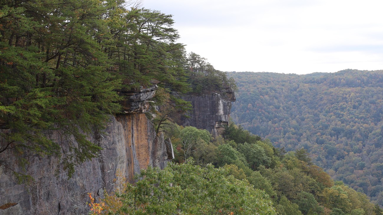 Views of the rock face from Endless Wall Trail