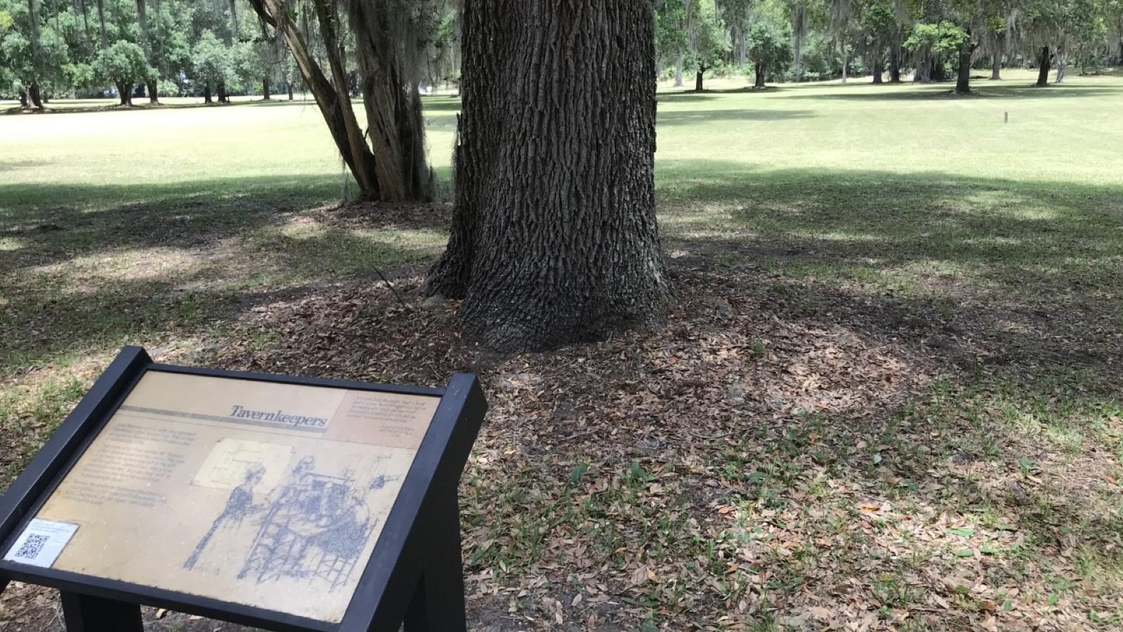 Wayside in front of a tree with grassy area surrounding