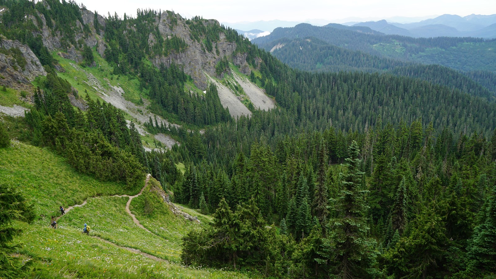 Several hikers along a trail traversing a steep meadow slope above forested valleys. 
