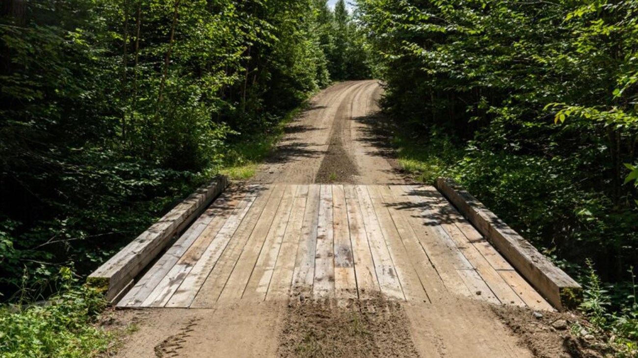 A small wooden bridge connects the rocky dirt road through the forest into the distance.
