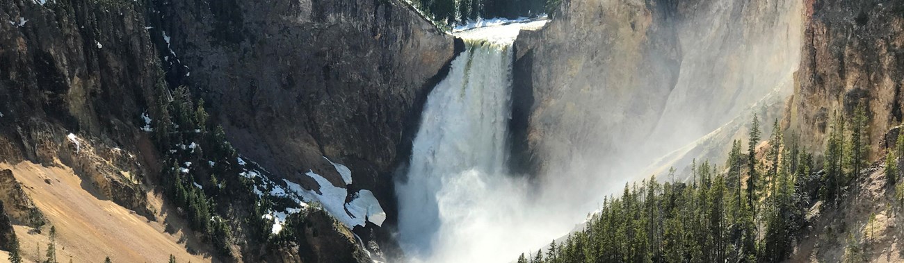 The Lower Falls of the Yellowstone River cascades down over 300 feet into the steep, yellow canyon.