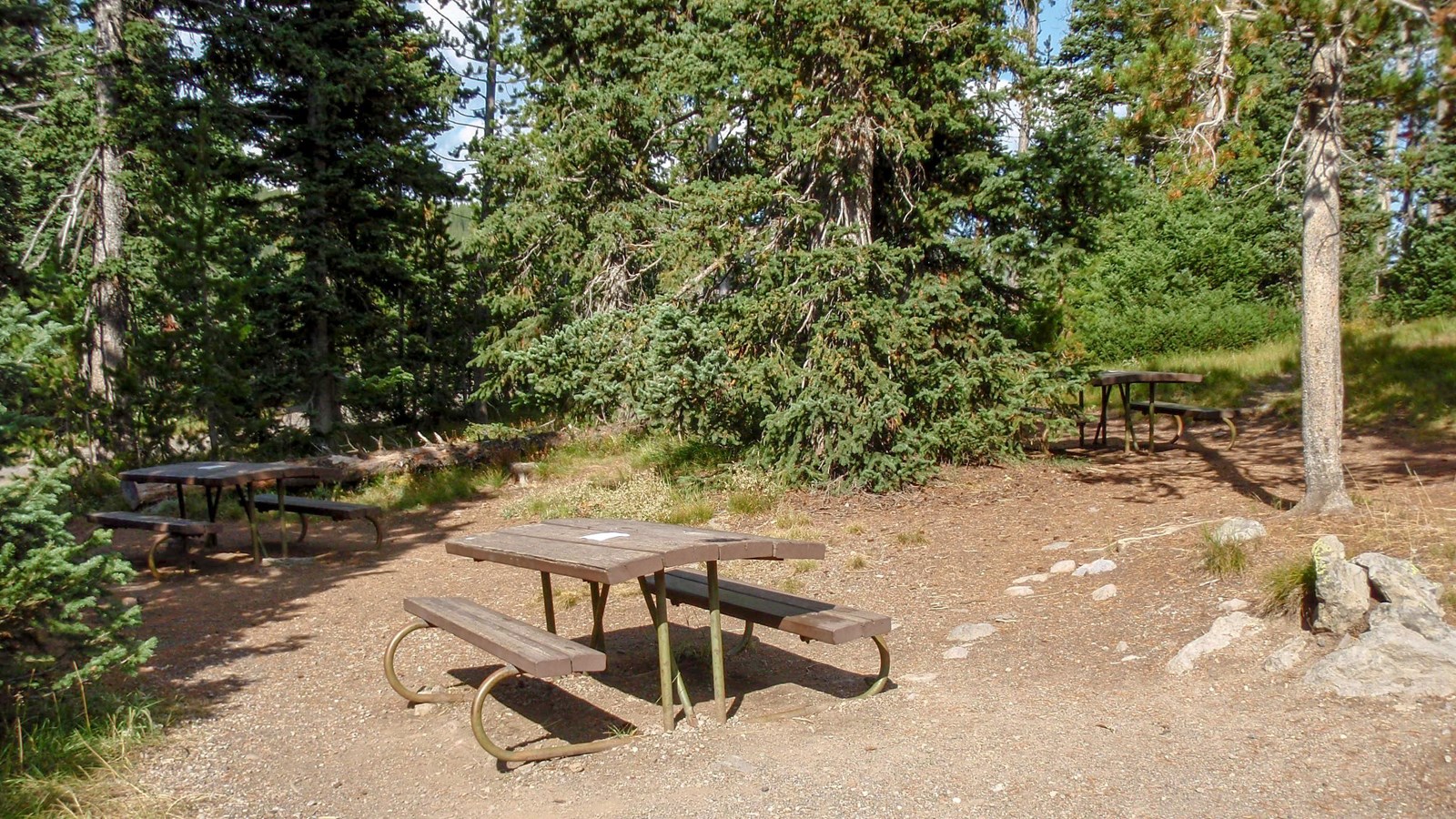 Picnic tables in a forested area